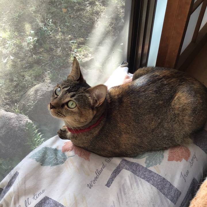 4a44fd04 b07f 4b84 ab1d a79ba93b43b8 1602462528732