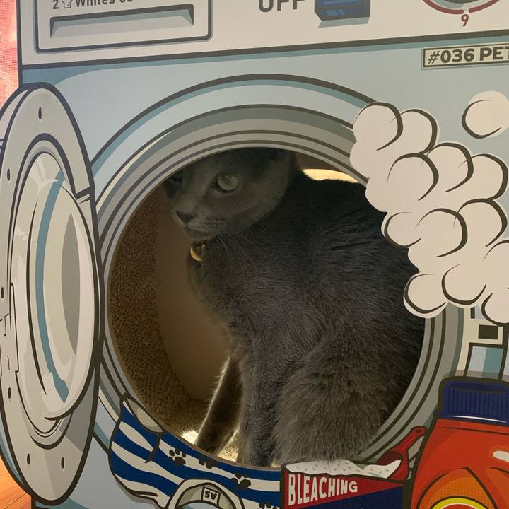 4a4502ef 5b47 4cbb 99c7 6588e25afca9 1633566763654