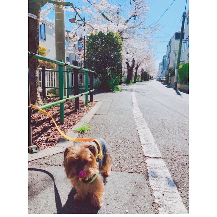 4a4517da 95bd 4670 805b f7ab47864100 1554597143480