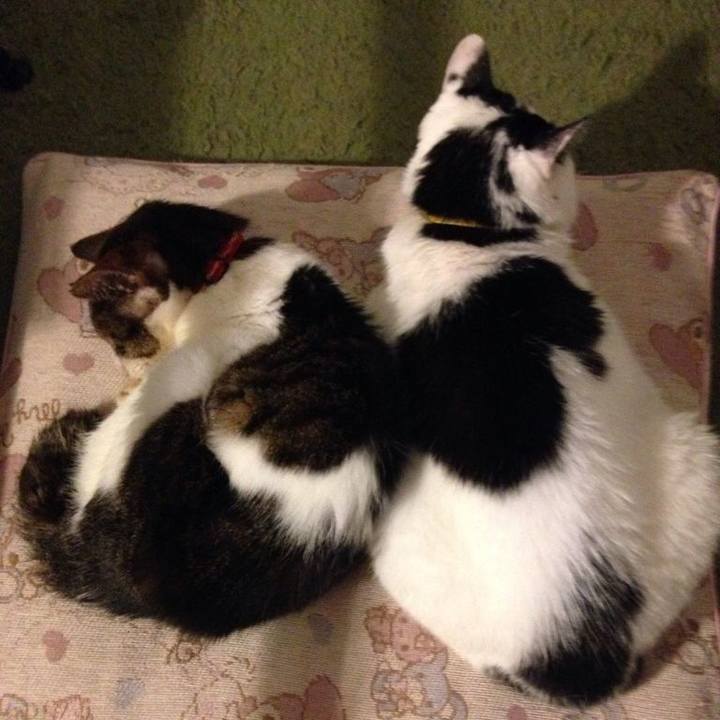 4a4519a1 21ca 40f5 a6a4 5bcc57b20ebb 1603977600046