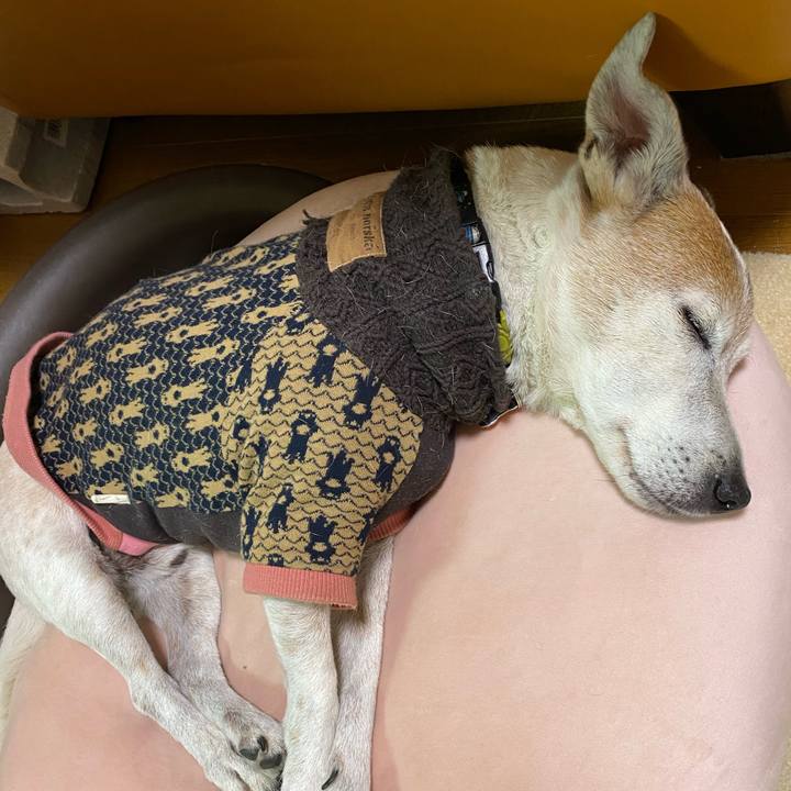 4a4580c5 ead1 4390 90fd 0400b0cf261f 1608729590618