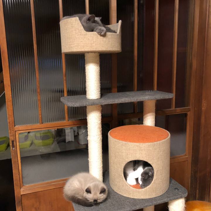 4a4599d4 62a3 4b84 ad11 3441f8566264 1586439289663