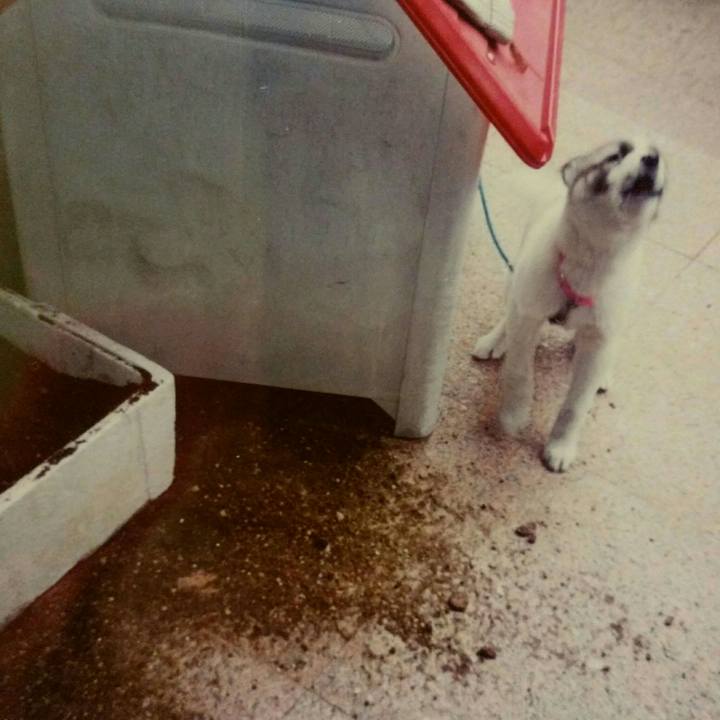 4a459e60 5d5e 4458 9c50 15b5238aca48 1513051264818