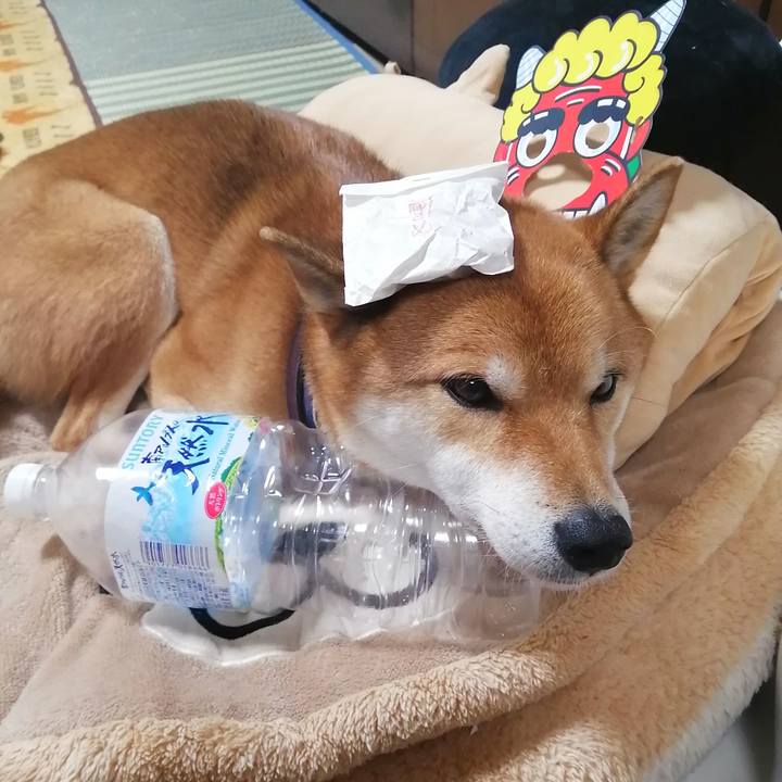 4a45b77b ef8e 41c1 973c 056f51965397 1580726556683