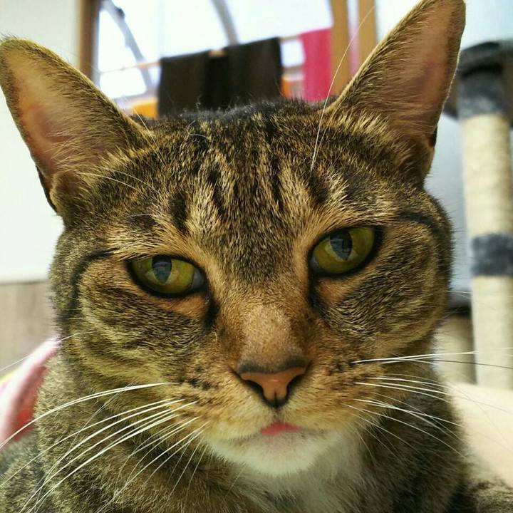 4a45bd18 d466 411d b1ae 9386a92aa9a0 1530969186779