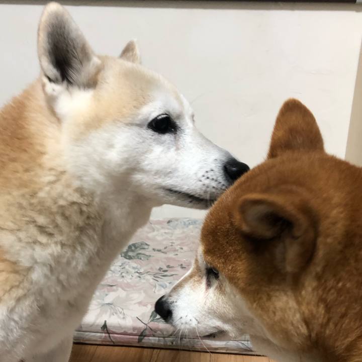 4a45d1dd ad54 4064 b6b0 1aae77ff23e0 1571132530900