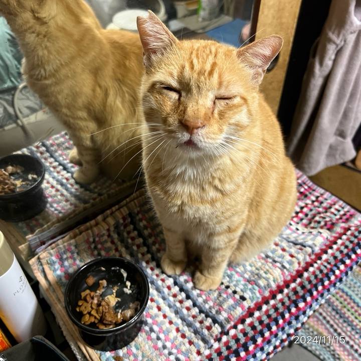 4a45eefc 9d0b 4163 bfeb b7b92364bbbe 1731621403113