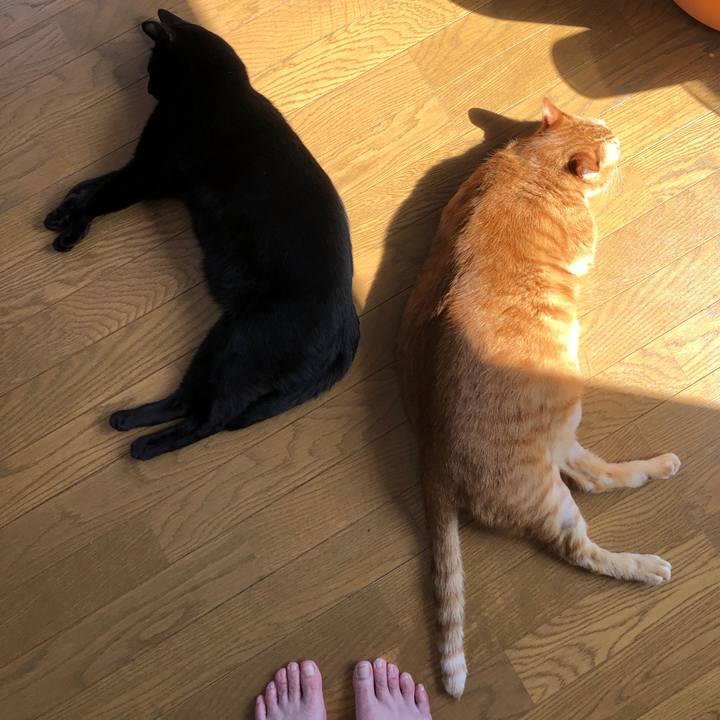 4a46319b e78c 4dc8 860f f173ad500a18 1712451285347