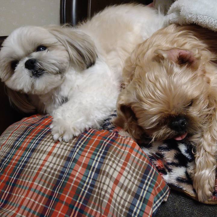 4a463eb0 3fa2 4eb1 969b 0807df4411f0 1641827680911