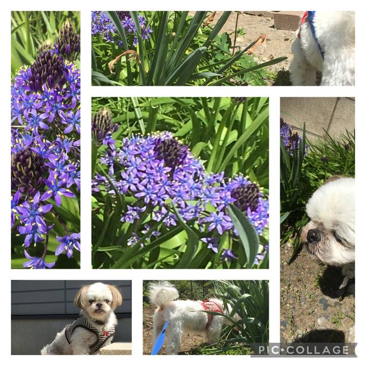 4a4655f2 9093 498b 94b5 176b1374864e 1619055309788