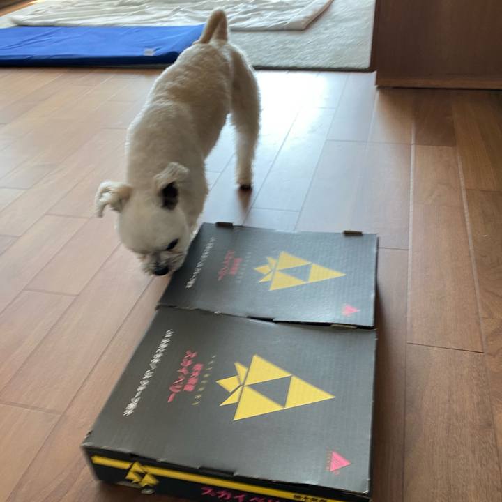 4a467c53 88f3 4bad 981b 6d2ebeefa0c4 1613883968719