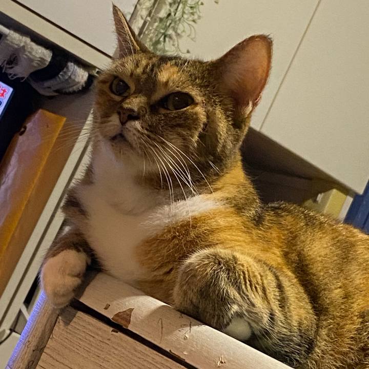 4a467da5 d308 462a 9f3a 78b1452ca5c7 1629550209278