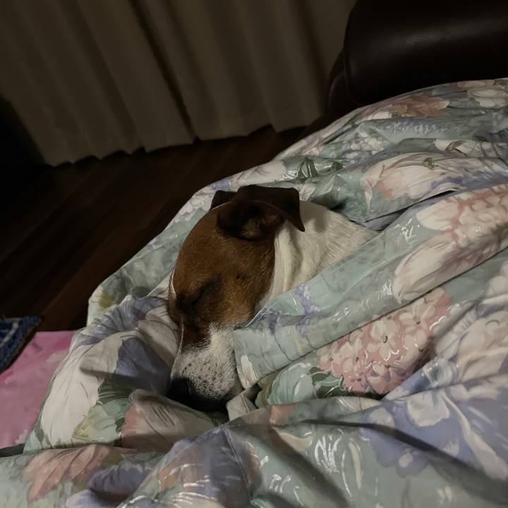 4a469443 0b8f 41fa a44b 4b5108e40592 1644148668339