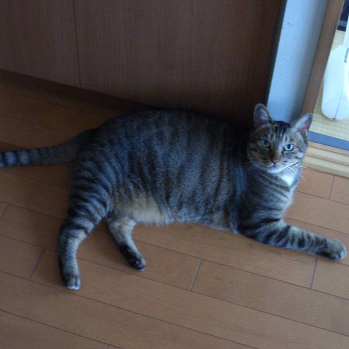 4a46b08d 6877 49dd 95bc 4ee6784af9cd 1568725325242