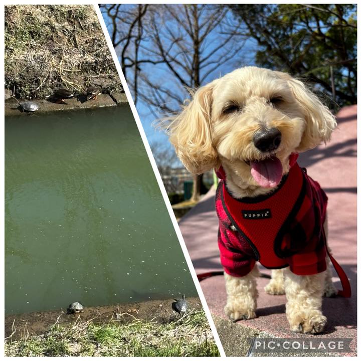 4a46db2d 5a86 4a18 be85 65fea1e5a3ae 1772769166470