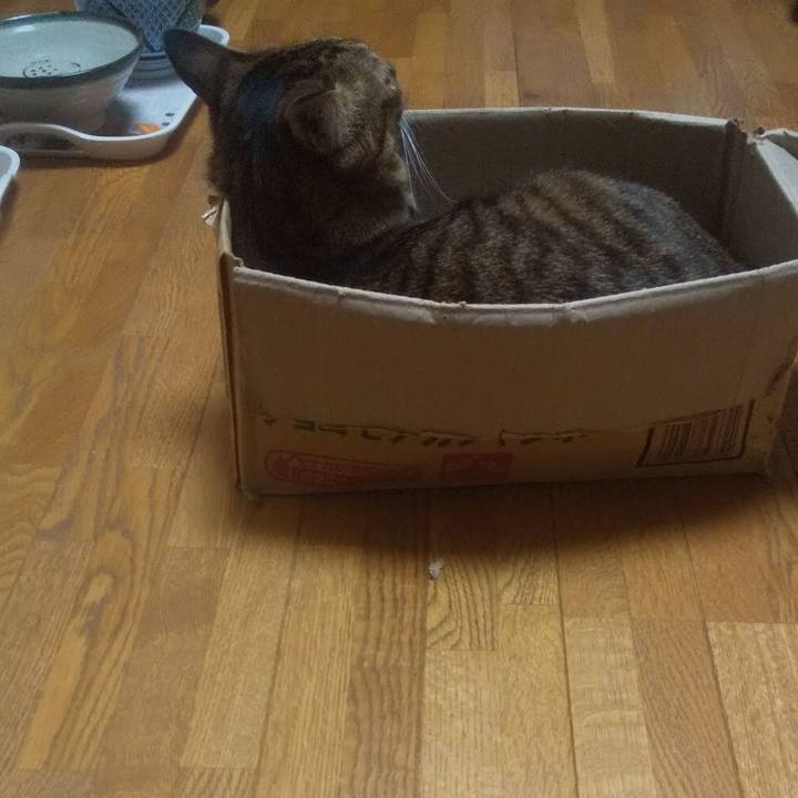 4a470563 27d3 4d75 8de3 3ef1df4c6b68 1725702502075