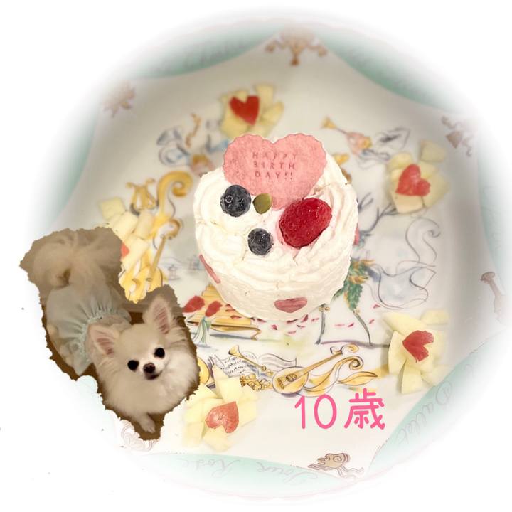 4a475d83 2183 4ea6 9f0b 492fa63ec57e 1632578969541