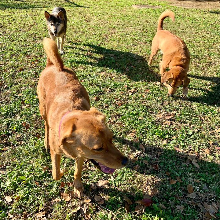 4a47b29a 0d03 478e a6a3 7729c245752b 1573555194917