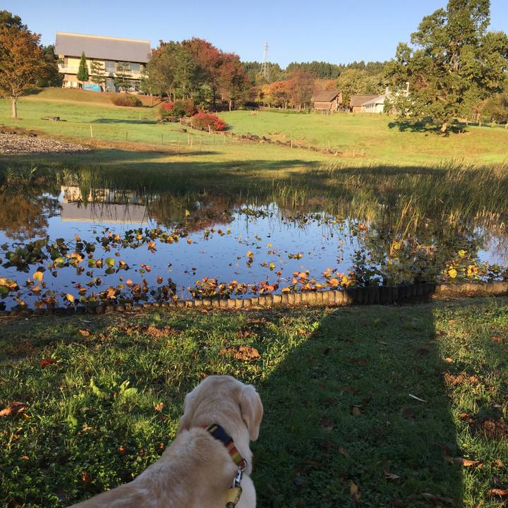 4a47dbac 5d8c 475c 81fa 662ed96d4ee0 1541286483152