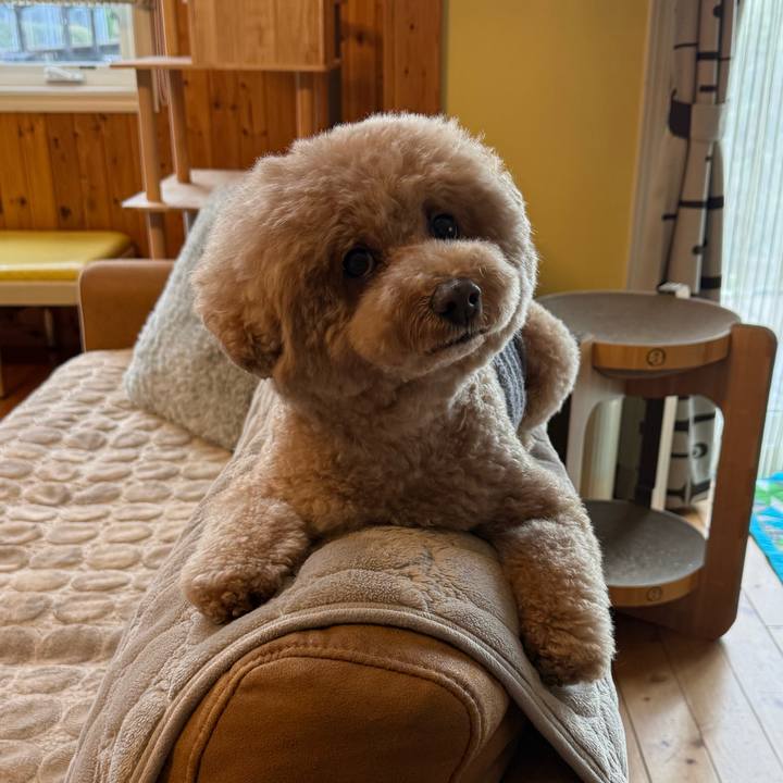 4a47ec1c 34e4 4c38 aaad c002d287d6f4 1769901049197