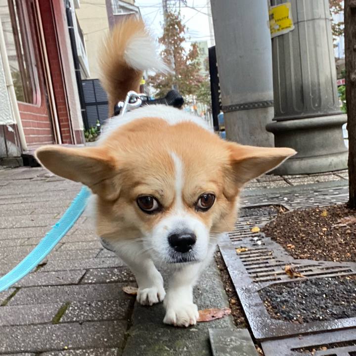 4a47ef73 2dbb 498f 9e0c 431027884f8c 1666580966121