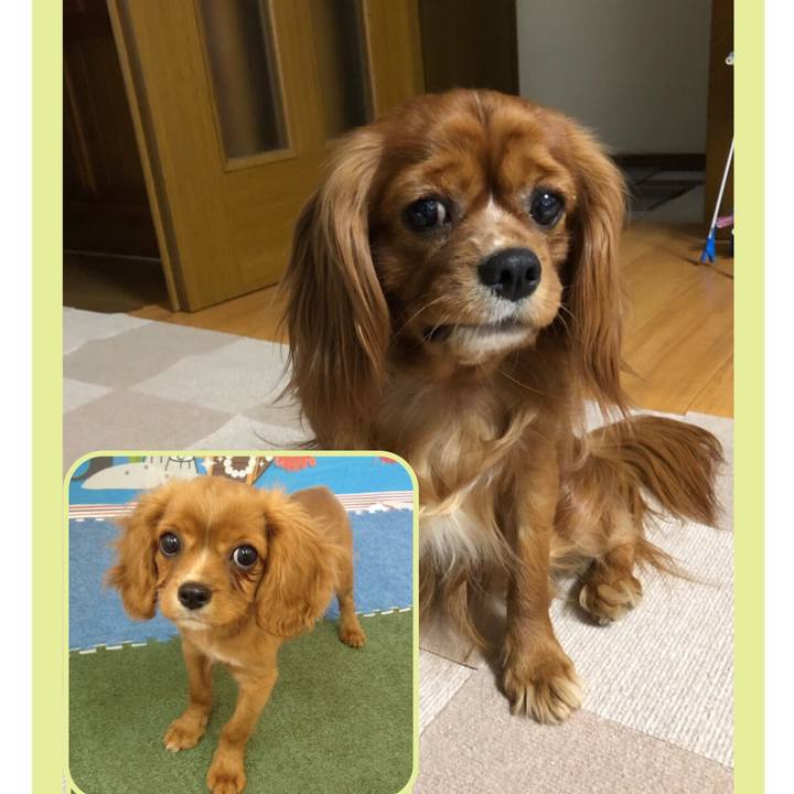 4a4820ef d3f2 4f80 a938 173080dd7b00 1559826697196