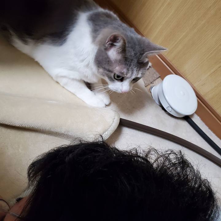 4a484645 00e9 4913 880d 848787475fb5 1701596585938