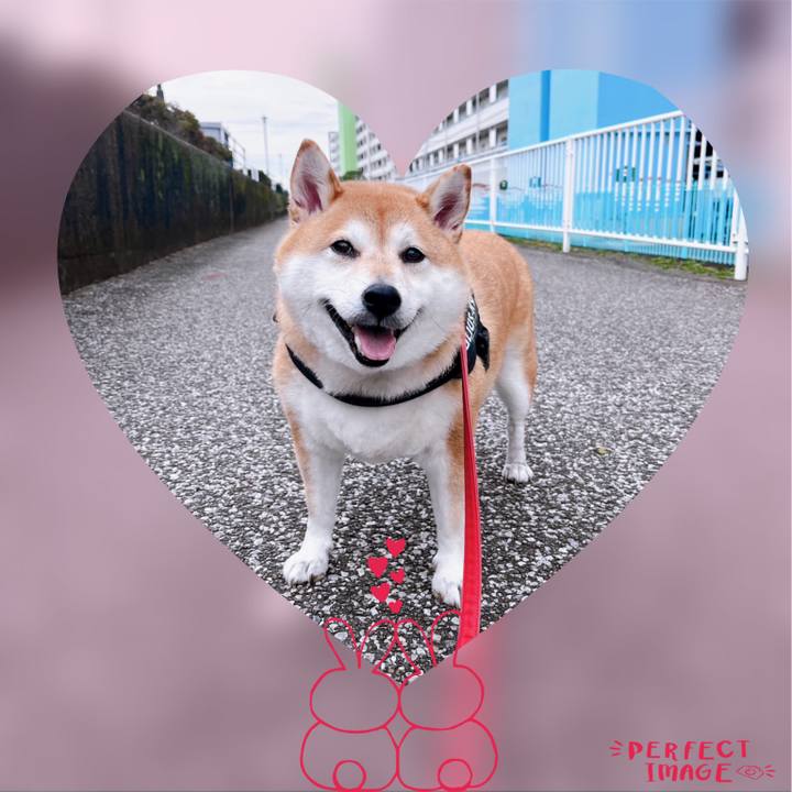 4a484e95 d8fe 4d69 b508 0750f130f1b8 1675920165612