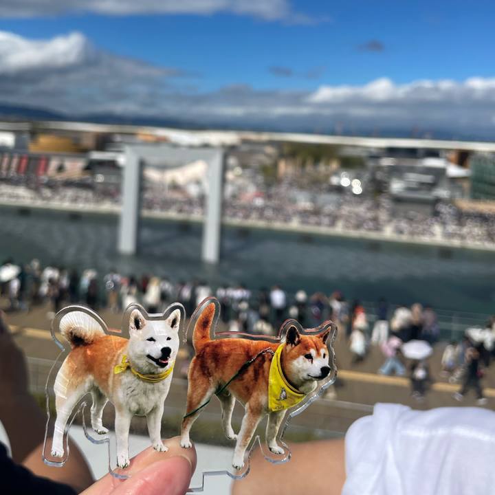 4a489413 7c6e 46de 9722 3f4e51151a8e 1760393007286