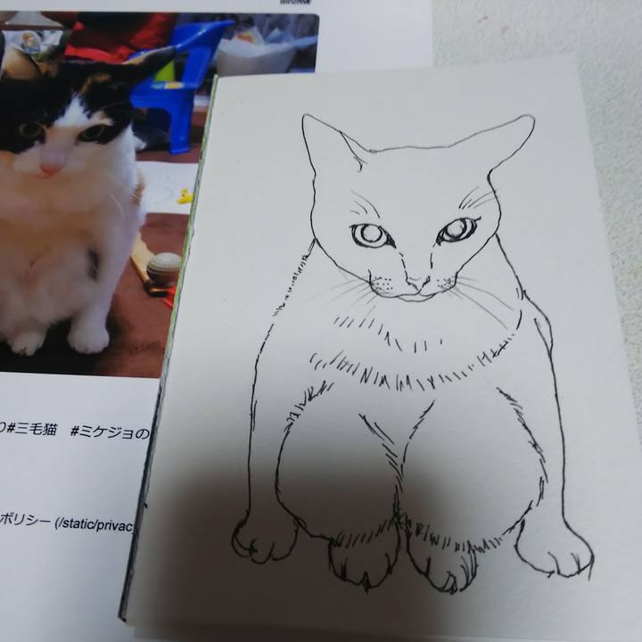 4a48aee6 d801 4432 a975 1dc3fe83d9dc 1581815452085