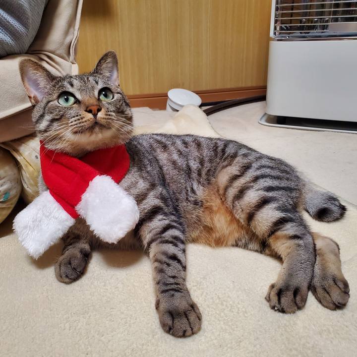 4a48af4d e6d5 4dbb ba6c ef5c2c5eb361 1700916382926