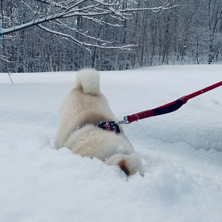 4a48d63e e1c0 46c4 bb88 85dd9acdf810 1677882861512