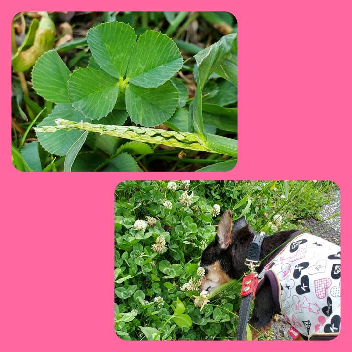 4a48e269 255d 4135 aac1 3465bbb5a676 1755939658114