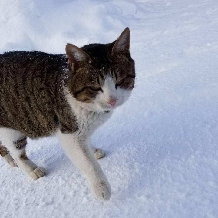 4a48f142 c3f8 4ea4 ab2e 4efddc0c67d0 1581428350789