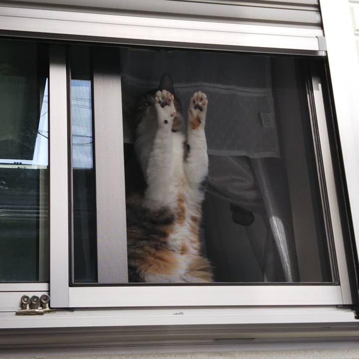 4a493074 dcef 449f 8137 bc23a247ed3a 1651965227653