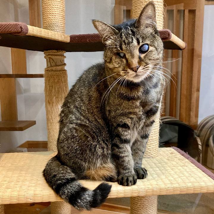 4a494090 495f 4498 9708 b4bd7369c92d 1636615919482