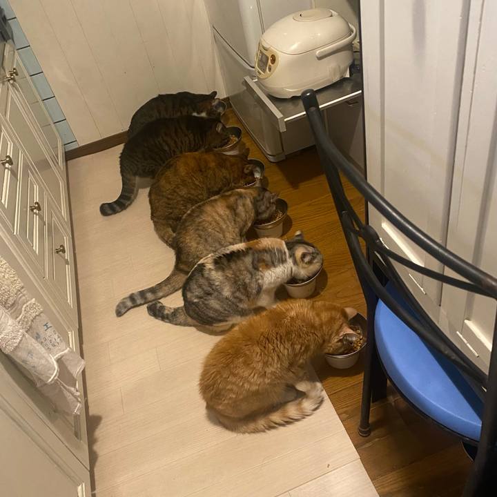 4a497b8a 1c32 40ab 81a8 fdc4bb2a35d4 1674373258178