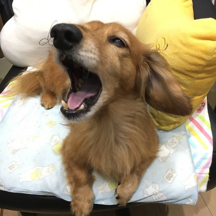 4a498582 5ee0 432b aacd 55655e363b09 1591945762115