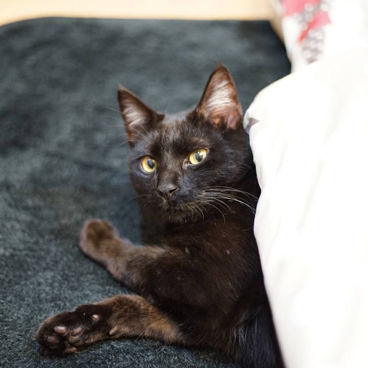 4a498bb9 f7d4 4125 8044 a11f54b32d0b 1516246120755