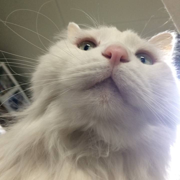 4a499e8e 2c4d 490b aae4 9db2b1226a10 1519251922836