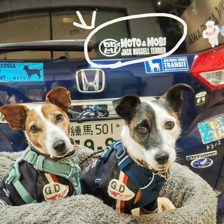 4a49c579 8c62 45b5 9330 da138eeaba67 1763802921726