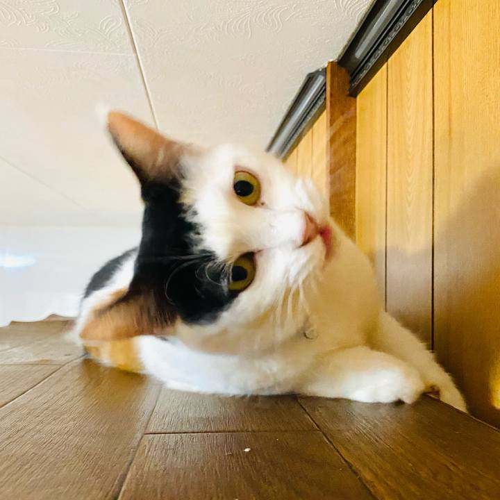 4a49eaa2 fee6 4d44 a399 b2b655cfb7d0 1662857518481