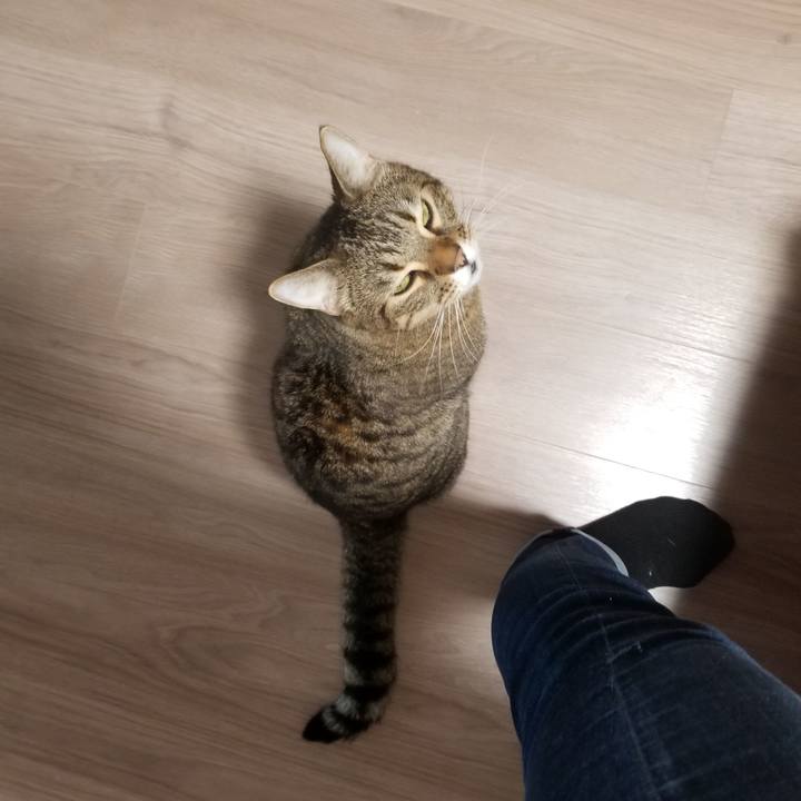 4a4a1e80 7701 4c14 9033 36edcc6243e2 1605649683505