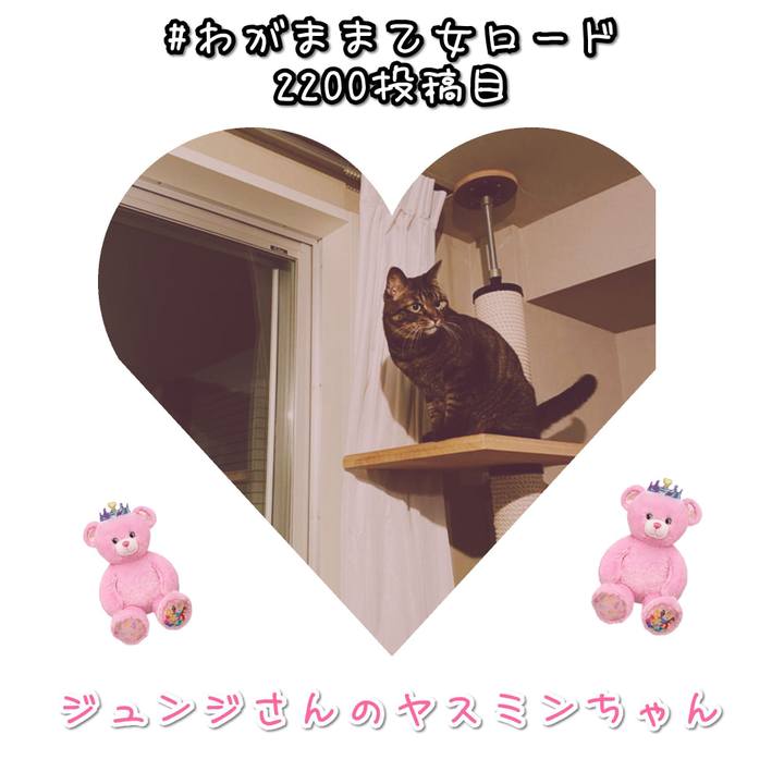 4a4ad6e6 0fc6 4375 86c1 8a2a733fc478 1578436257106