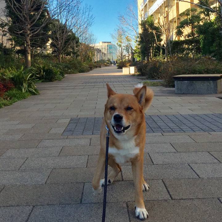 4a4aee3d b340 4cf8 94f9 1e369e388726 1606110033103