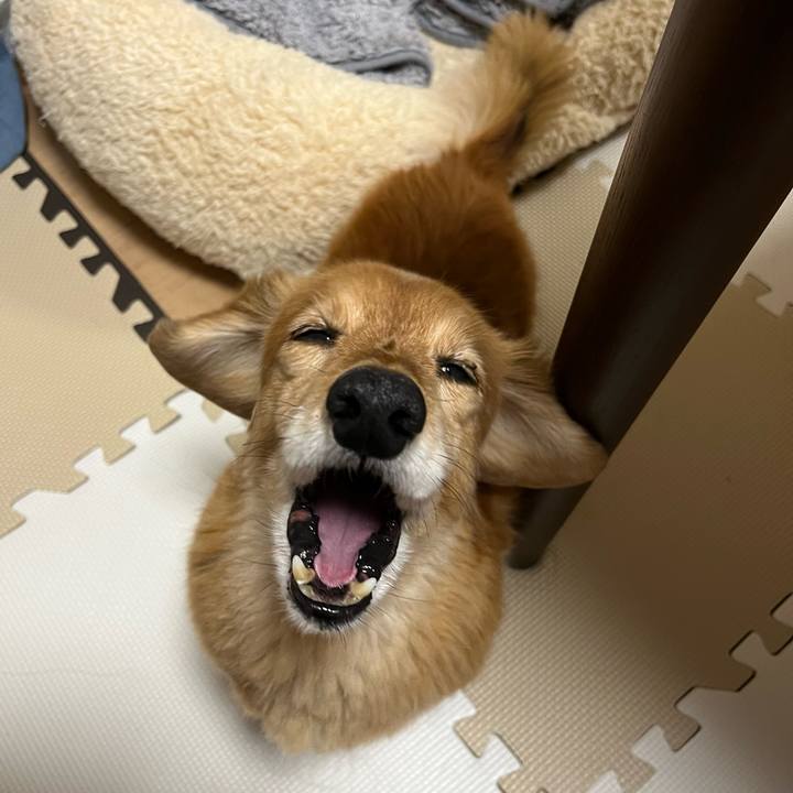 4a4b056a 11f0 4e70 aeef 29bb940f9e2f 1645009509696