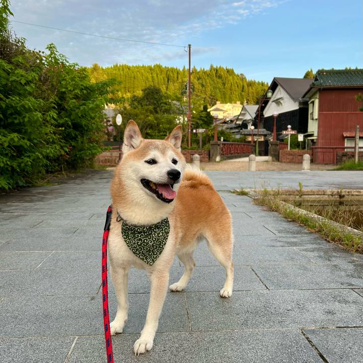 4a4b05d5 f6e9 425f 8798 f6fbe3431c95 1757933783854