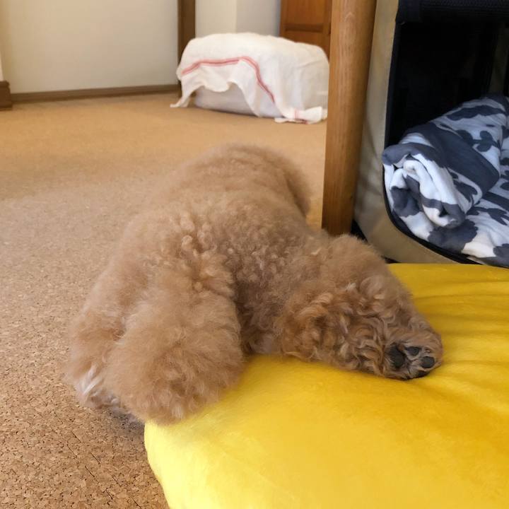 4a4b2fa4 c6fd 4d8a 919f 0e4ea29b1190 1567560913656