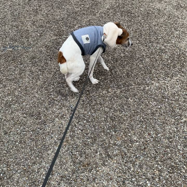 4a4b3bc8 6756 4b8a b9f4 fe1497a123d8 1578822881372