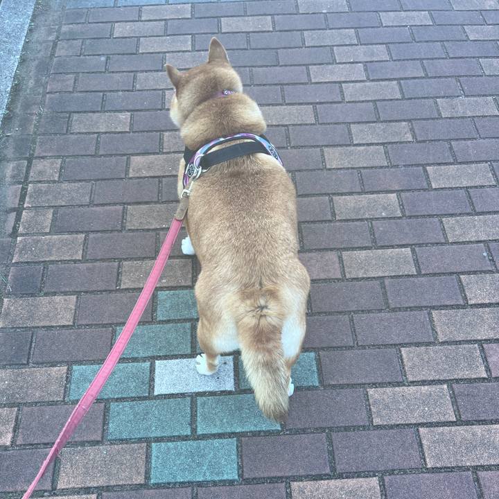 4a4b58e0 48f1 4549 8c61 80fb7c1c62a6 1703223658189